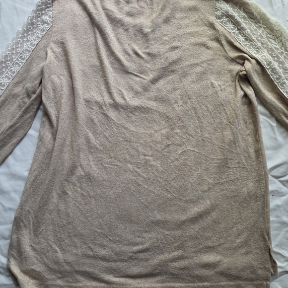 Alison Andrews - Picture 6 of 7